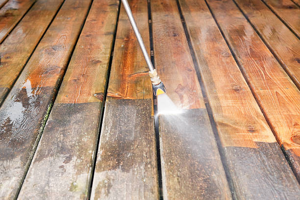 Best Solar Panel Cleaning  in Terre Haute, IN